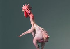 Tim Flach om mer enn menneskelig