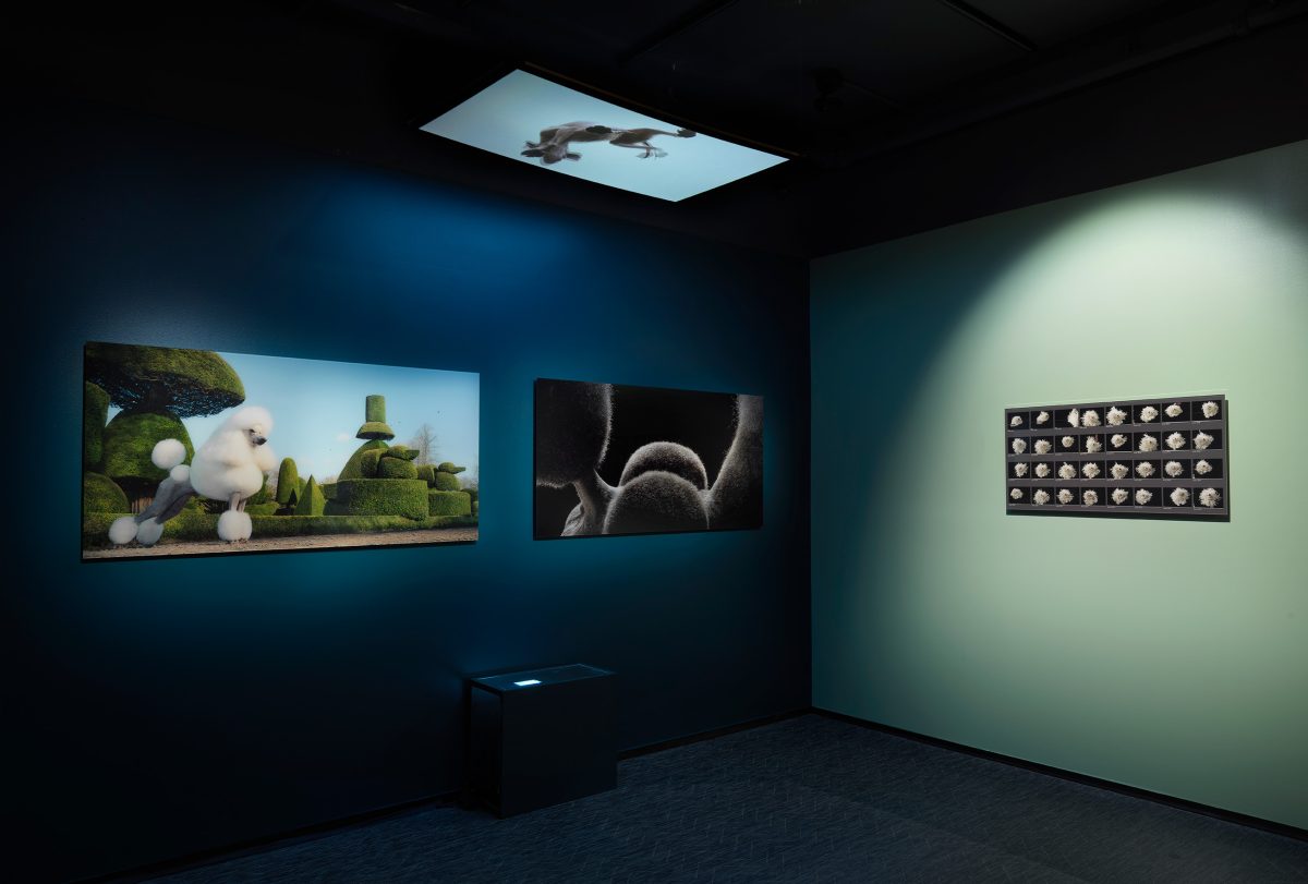 Exhibition Image