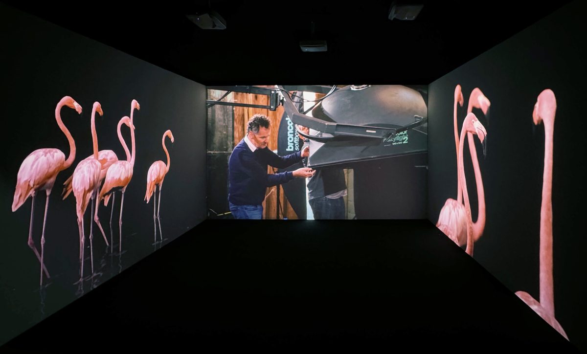 Exhibition Image