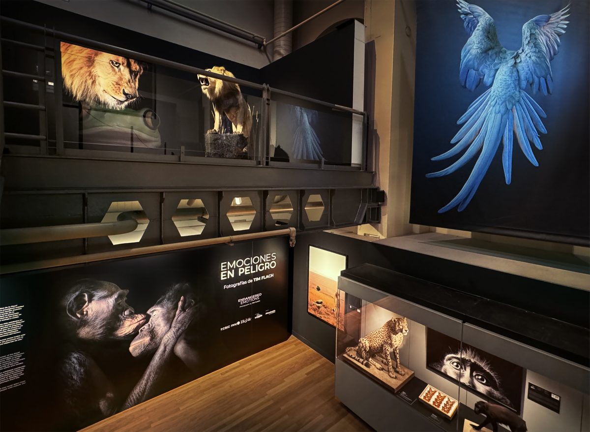 Exhibition Image