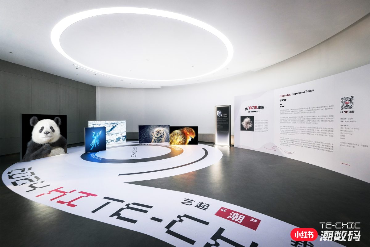 Exhibition Image