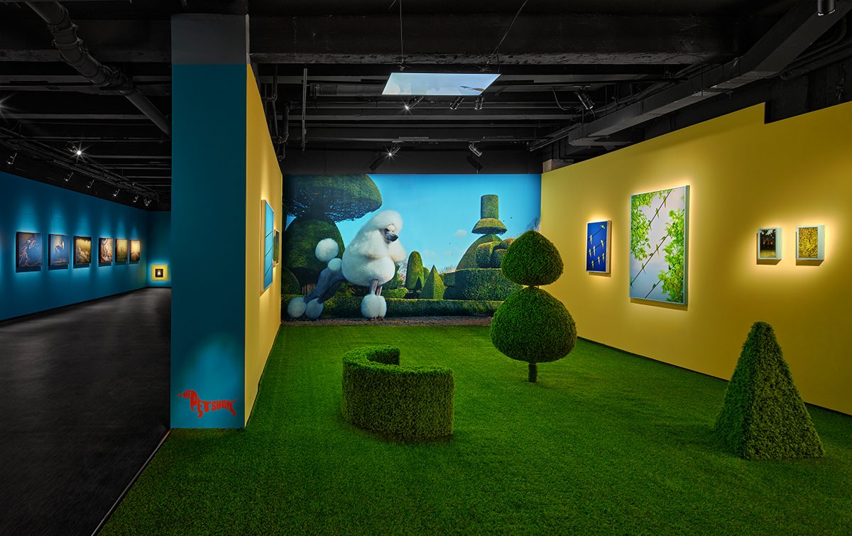 Exhibition Image