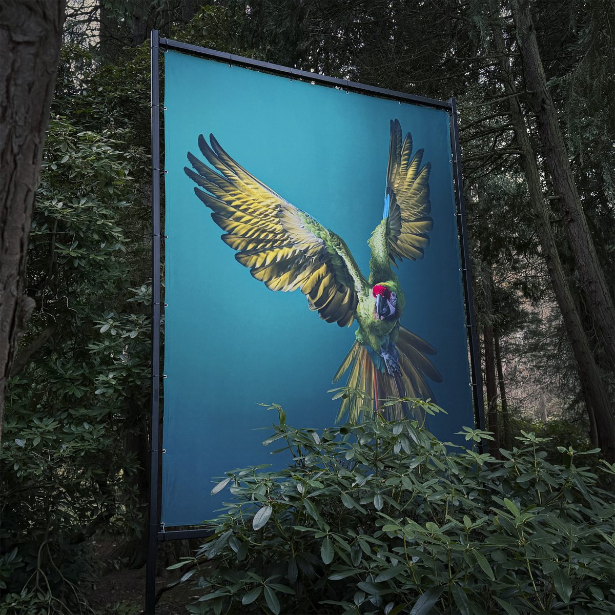 Exhibition Image