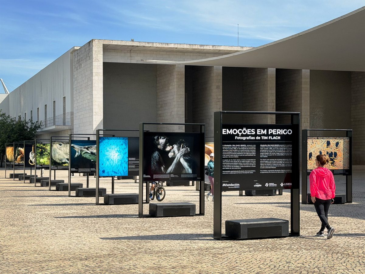 Exhibition Image